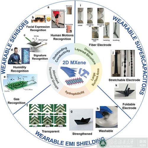 材料学院科研团队在柔性可穿戴器件方面取得突破性进展