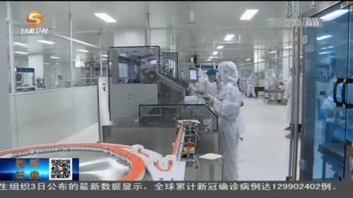 甘肃造新冠疫苗首批投产下线 技术突破助力抗疫新篇章
